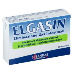 Elgasin