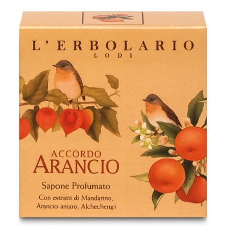 L'Erbolario
Accordo arancio
sapone profumato
Il vitale profumo di Accordo Arancio racchiuso in un panetto di Sapone