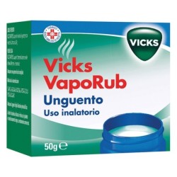 Vicks vaporub unguento inalatorio vasetto da 50 g