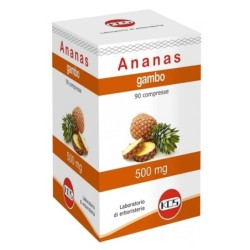 Ananas
gambo 500 mg
confezione da 90 compresse