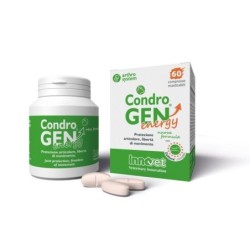 Condro GEN
energy
salute articolare, libertà di movimento
flacone da 60 compresse masticabili