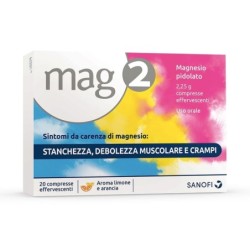 Mag 2 magnesio pidolato 2