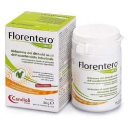 Florentero act