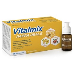 Vitalmix
pappa reale
Integratore alimentare di vitamina C da Acerola con Pappa reale e polline