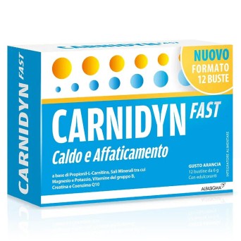 Carnidyn Fast caldo e affaticamento 12 sachets