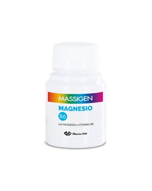 Massigen Magnesio B6 60 cápsulas