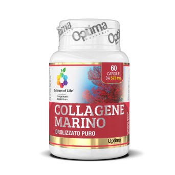 Colours of Life
Collagene Marino
idrolizzato puro
barattolo 60 capsule da 575 mg