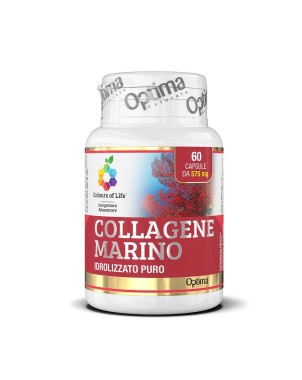 Colours of Life
Collagene Marino
idrolizzato puro
barattolo 60 capsule da 575 mg