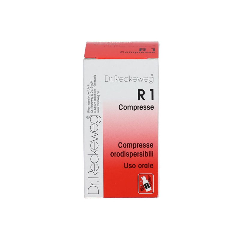 Dr. Reckeweg R1 100 Tabletten