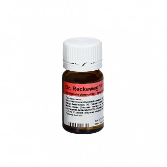 Dr. Reckeweg R1 100 Tabletten