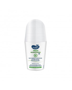 Sauber Fresh Deo roll-on fresco y seco 50 ml