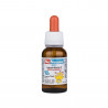 Nonausea gocce 15 ml Flasche